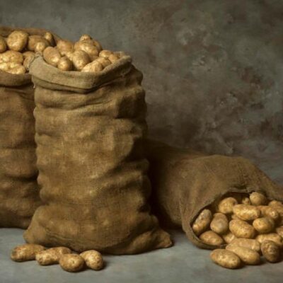 Мешки холщовые под картофель 56х96 см